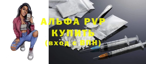 PSILOCYBIN Костерёво