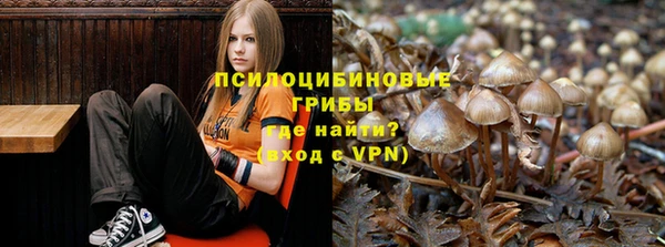 хмурый Козловка