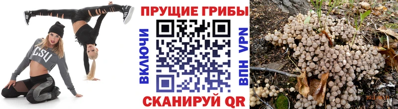 Купить  Мыски  Псилоцибиновые грибы прущие грибы 